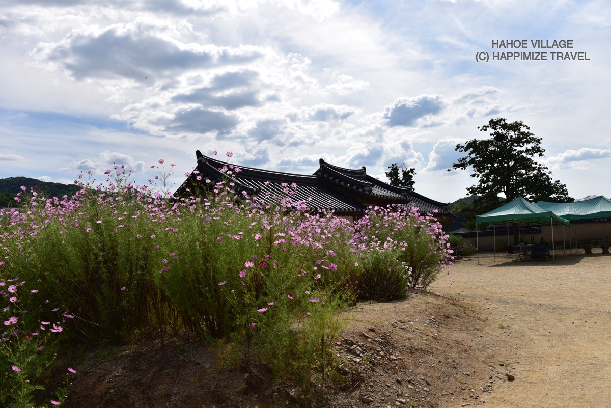 hahoe village by happimize travel