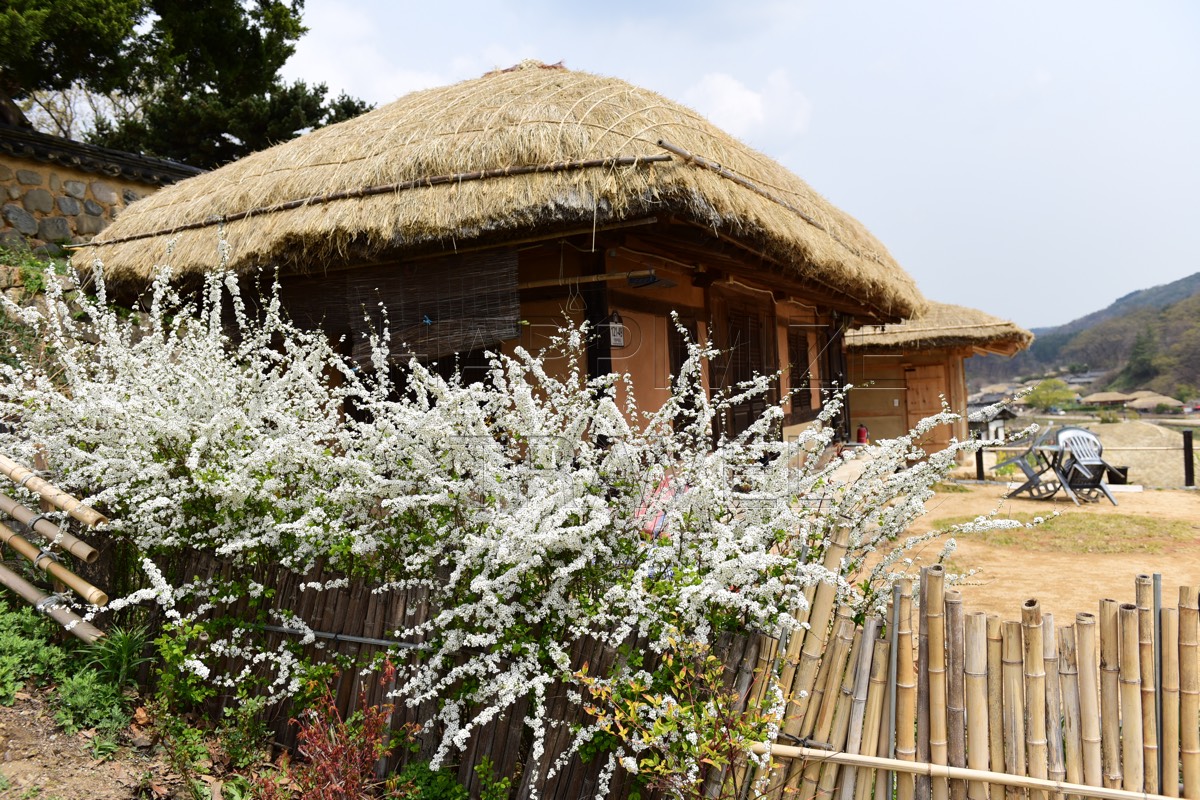 yangdong village by happimize travel